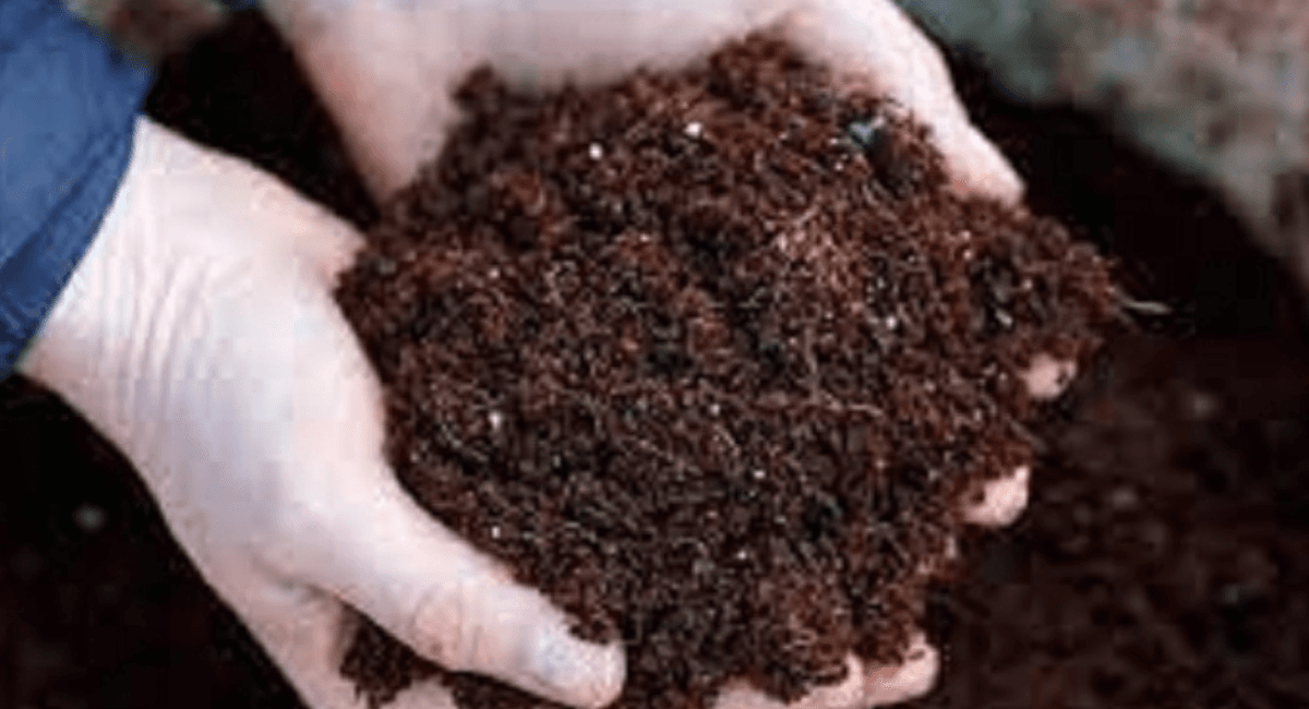 स्थानीयको सामूहिक लगानीमा पर्वतमा जैविक मल उद्योग सञ्चालन