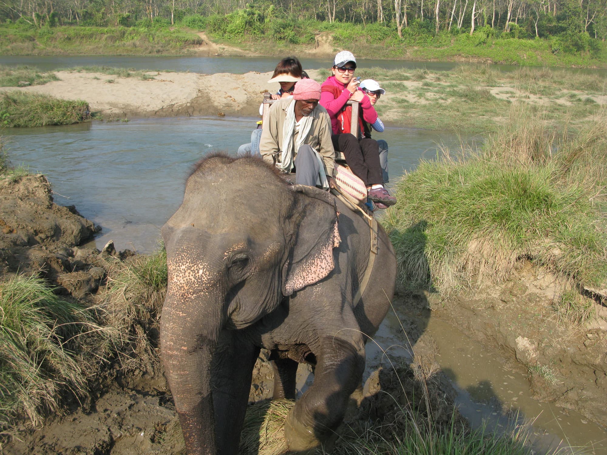 Tourist activity increases in Sauraha