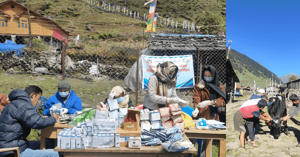 हिमाली बस्तीसम्मै पुगे पशु प्राविधिक, विकट क्षेत्रमा खोरेतविरुद्ध खोप