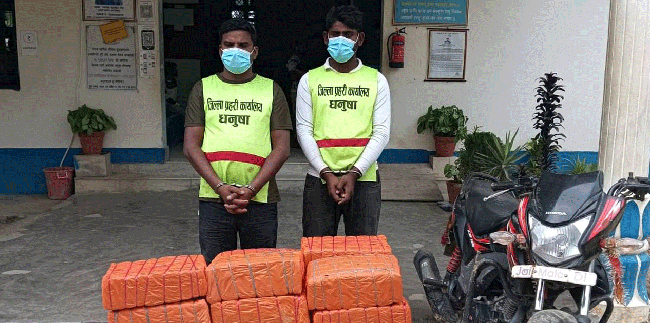 धनुषामा १३७ केजी लागूऔषध बरामद,  दुई जना नियन्त्रणमा