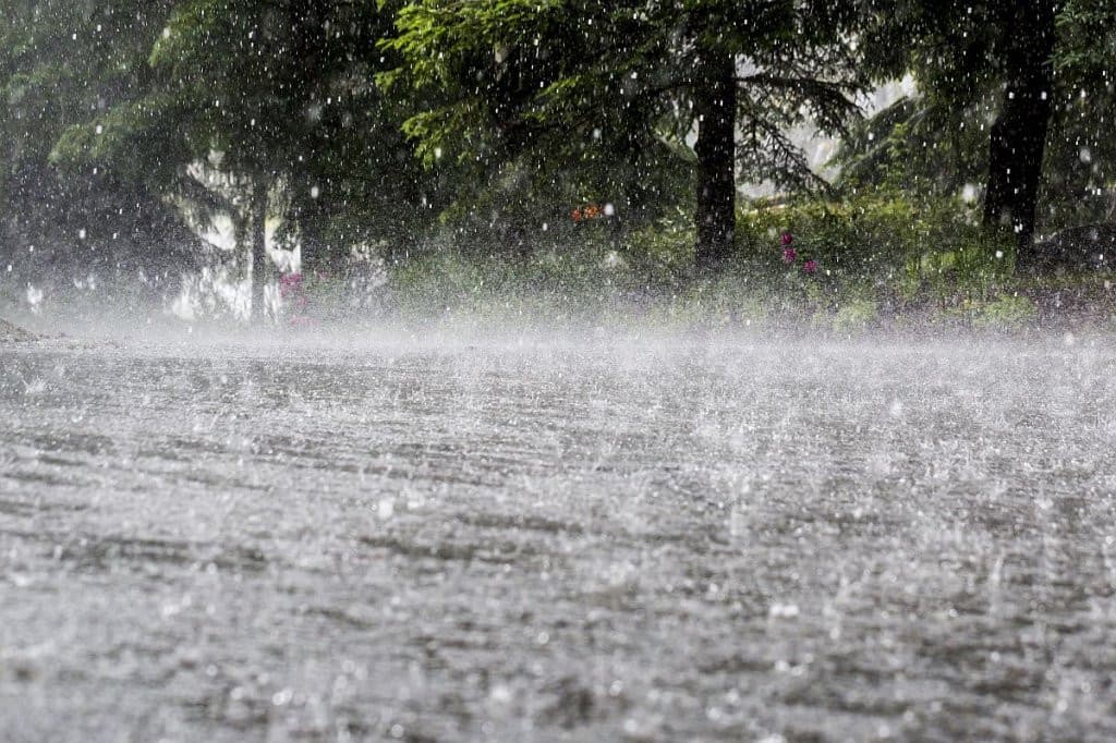 भारतमा मौसमी प्रकोपका कारण ८० जनाको मृत्यु
