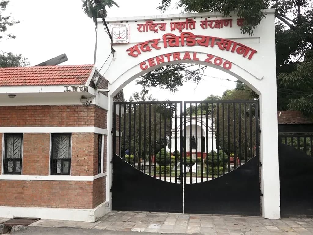 चिडियाखानामा बर्डफ्लु नियन्त्रणमा