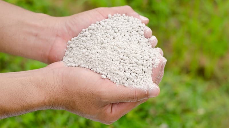 मध्यपूर्व द्वन्द्वले भारतको मल उत्पादनमा गिरावट