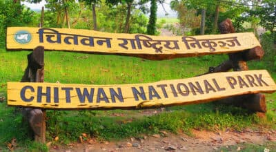 राप्ती नदीमा गोहीको अण्डा सङ्कलन सुरु