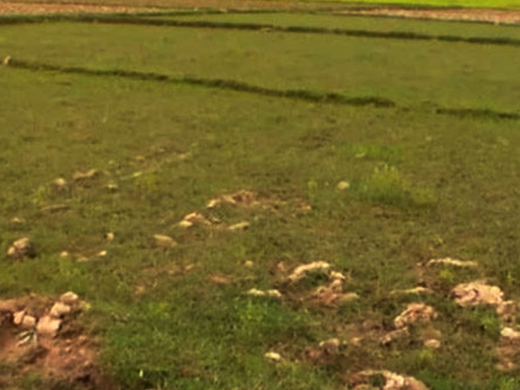 राजगुठी जग्गा संरक्षण गर्न घ्याङ गुठीको माग