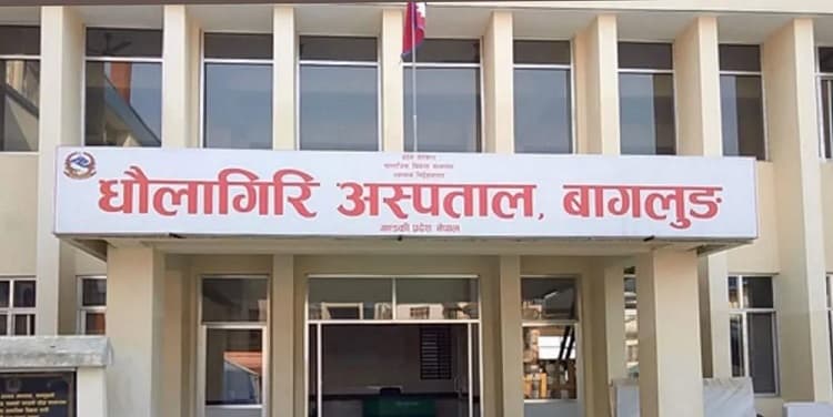 धौलागिरि अस्पतालमा पहिलो पटक सर्पदंशको उपचार