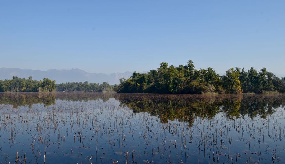 घोडाघोडीमा ‘बेसरम’ विस्तारः सङ्कटतर्फ धकेलिँदै ताल