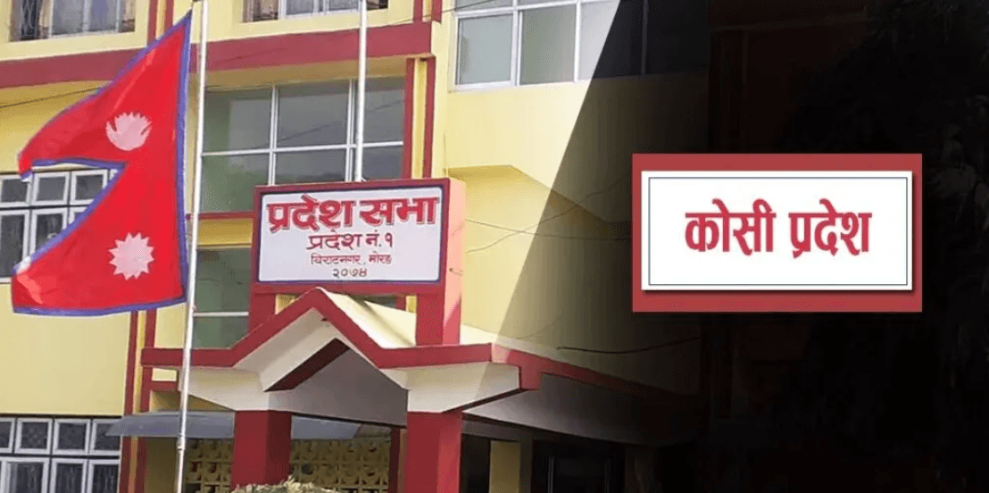प्रदेश प्रमुखबाट वार्षिक नीति तथा कार्यक्रम प्रस्तुत