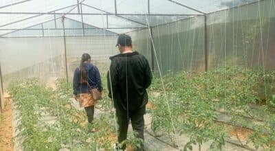 ‘हाइटेक टनेल’ बनाउन दुई करोडभन्दा बढी अनुदान