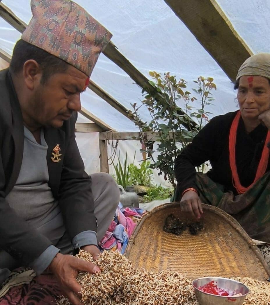 सांस्कृतिक पर्वः ‘चैत बारुवाँ, सोरुवाँ र बिसुवाँ’