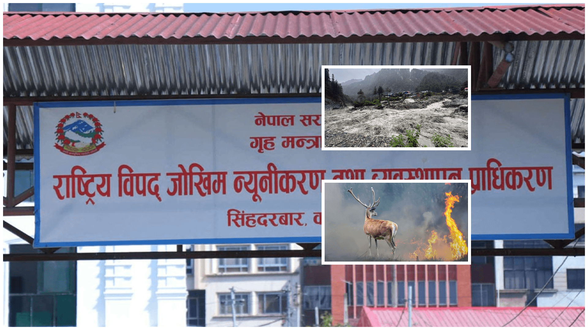 १५ दिनमा छ सय सोह्र विपद्का घटना : ३४ जनाको मृत्यु