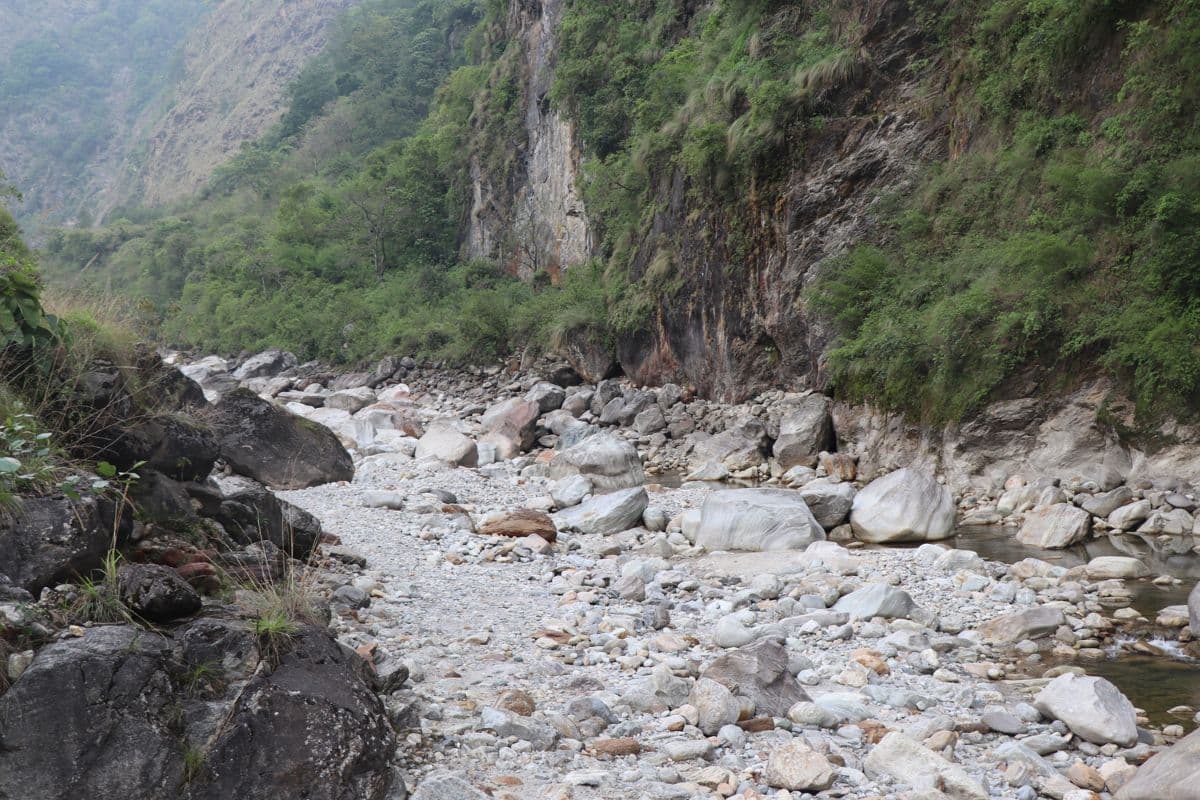 म्याग्दीको मिस्त्रीखोलामा माछा पाइन छाडे
