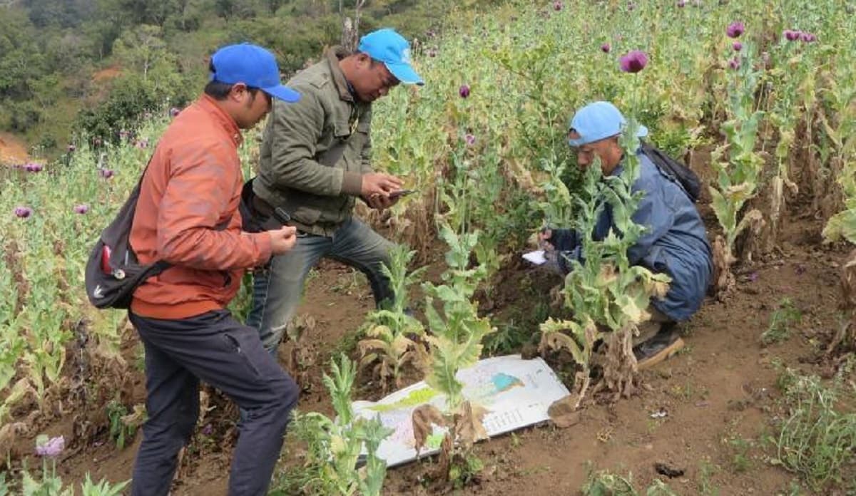आज लागूऔषध दुरुपयोग तथा अवैध ओसारपसारविरुद्धको अन्तर्राष्ट्रिय दिवस