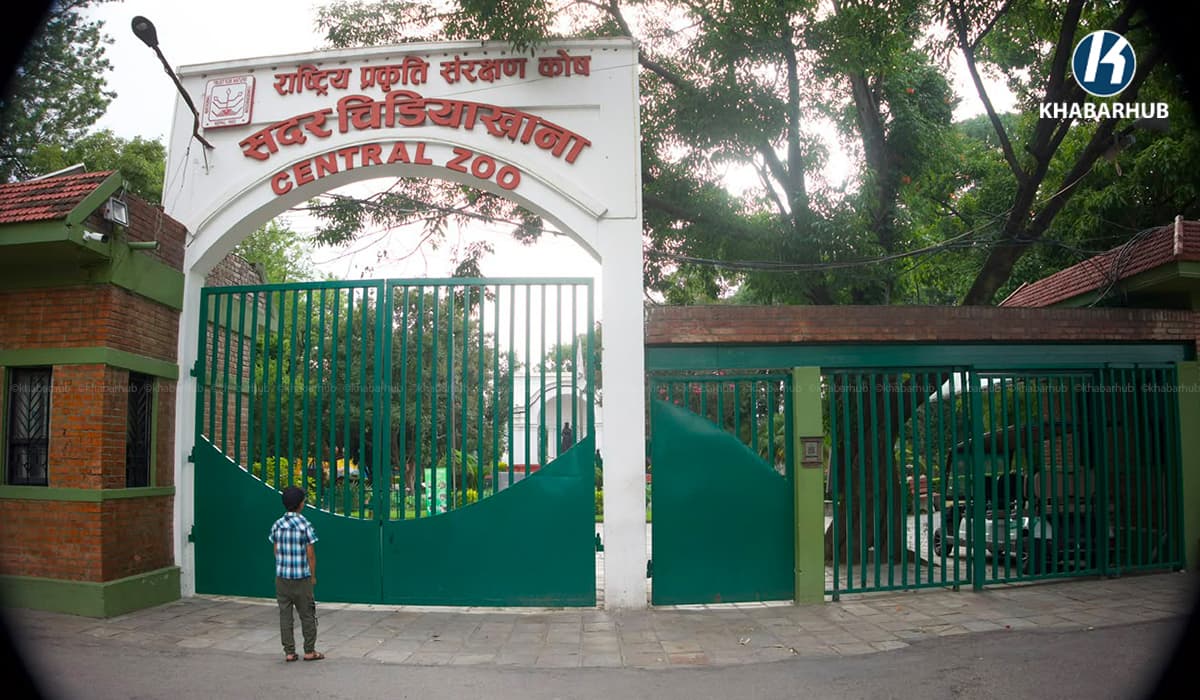 चिडियाखानामा बर्डफ्लु नियन्त्रणमा