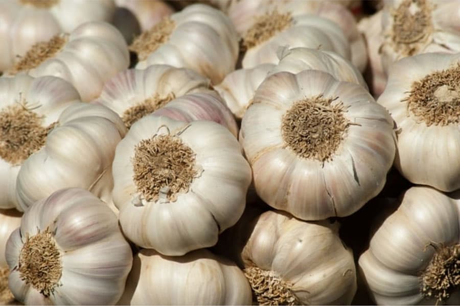 ७० प्रतिशतले घट्यो लसुन आयात