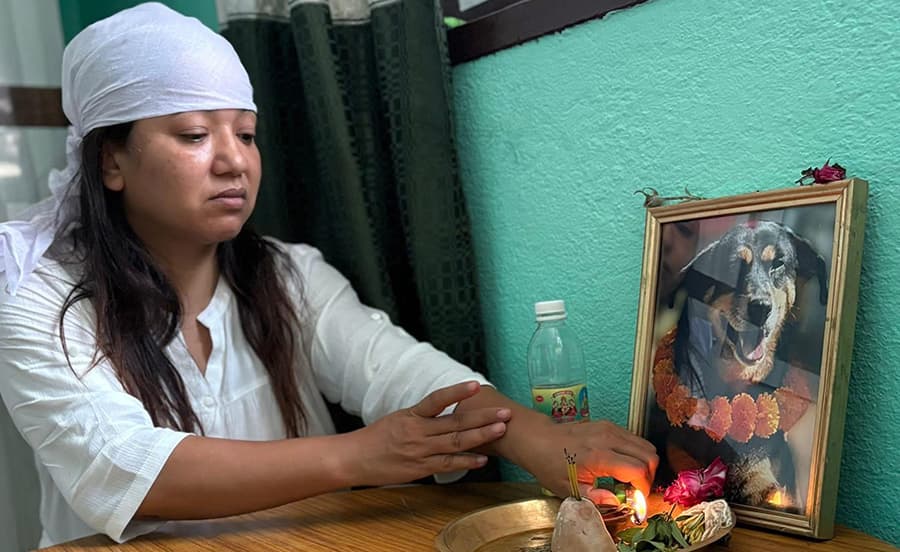 ११ वर्ष सँगै बसेको कुकर मर्यो, उनी किरिया बसिन्