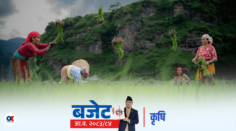 कृषिमा कर्पोरेट मोडेल : साना किसानका कार्यक्रम खारेज, ठूलालाई ४० प्रतिशत अनुदान