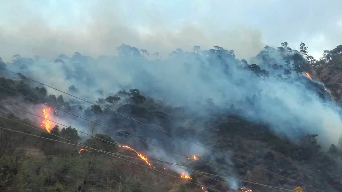 मनसुन पूर्वको वर्षाले घटायो वन डढेलो