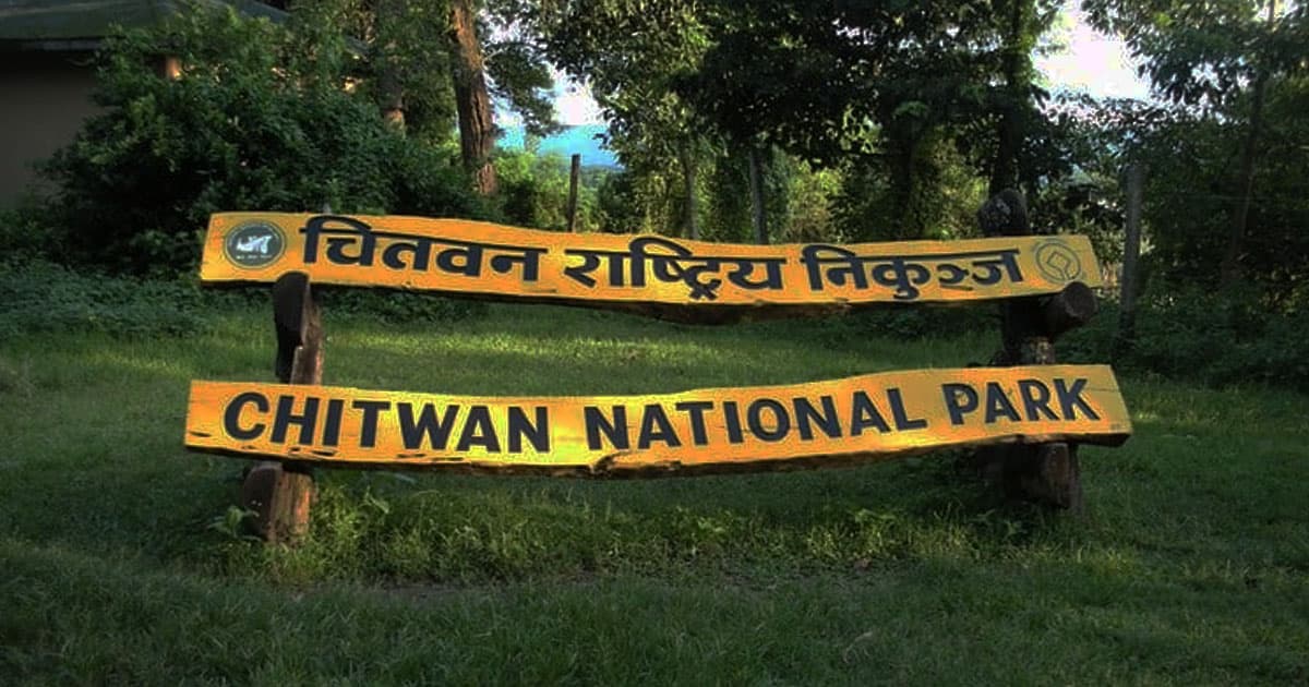 गस्तीमा गएको सेनाले गोली चलाउँदा गैँडाको मृत्यु