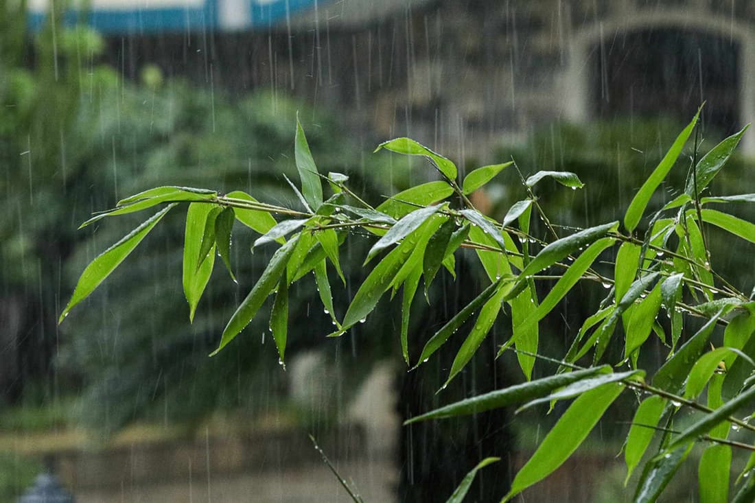 इस्तानबुलमा ८० वर्ष यताकै भारी वर्षा
