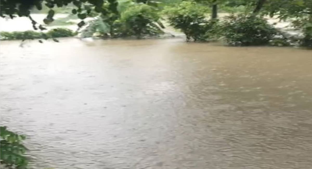 लाल बकैयामा बाढी, भोलि बिहानसम्मै सतर्क रहन आग्रह