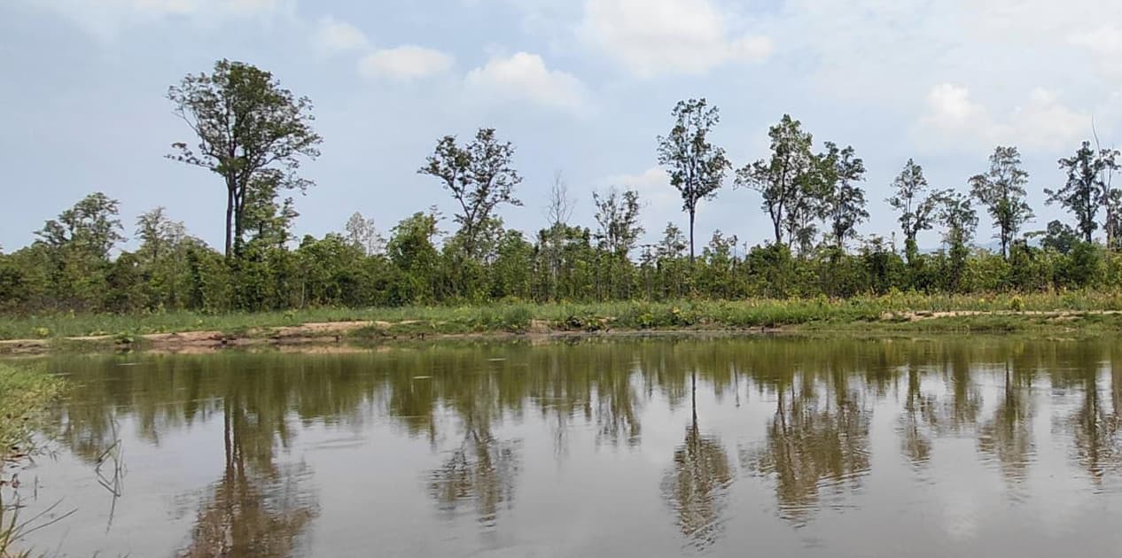 कृत्रिम पोखरी निर्माणपछि घट्यो मानव-वन्यजन्तु द्वन्द्व