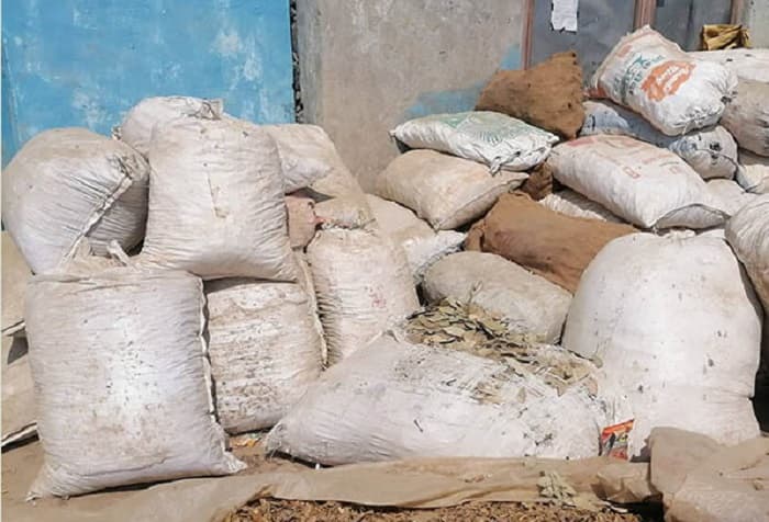एक वर्षमा चौध करोडको जडीबुटी निर्यात