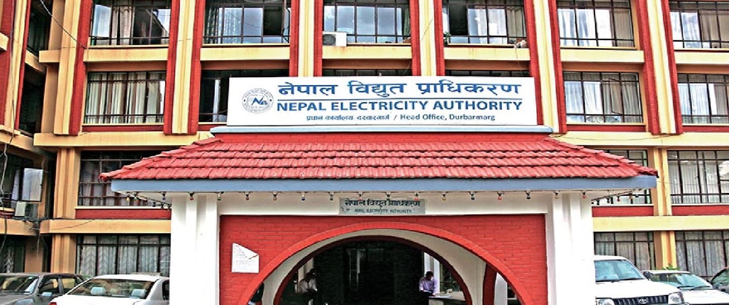 तीव्र हावाहुरीका कारण प्रसारण लाइनमा रुख ढल्दा ट्रिपिङको समस्या, समाधानको प्रयासमा प्राधिकरण