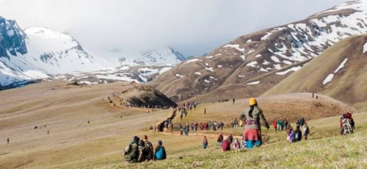 यार्चागुम्बा सङ्कलन गर्न १३८ जनाले लिए अनुमतिपत्र