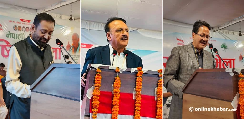 कांग्रेस इतर समूहको भेलामा धमाधम पेश हुँदै प्रतिवेदन